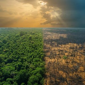 Community-based climate action